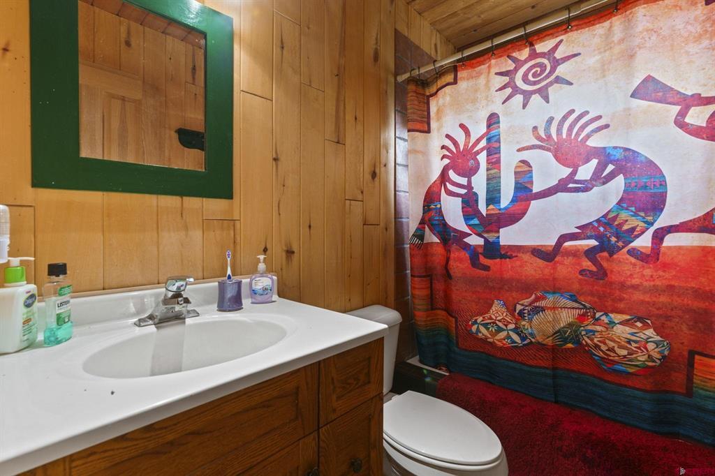 1405 Cougar Way Hesperus CO 81326