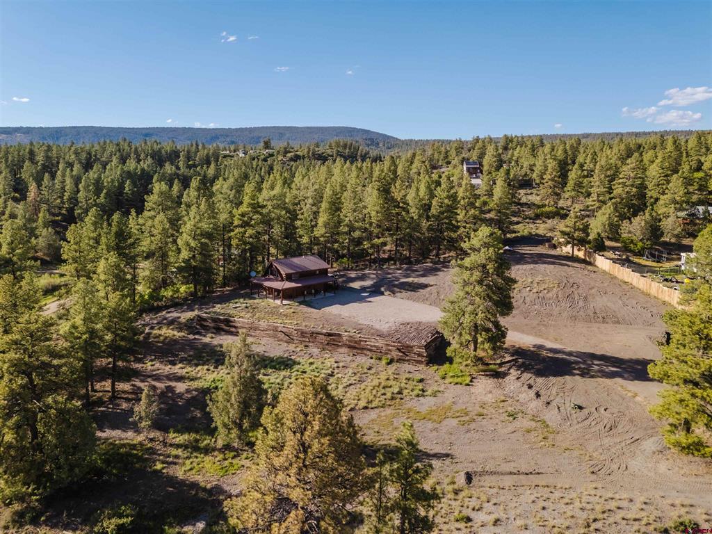 177 Raccoon Drive Pagosa Springs CO 81147