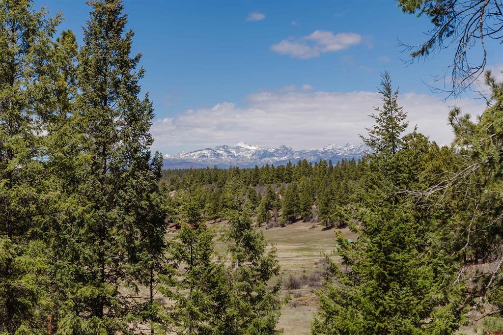 2035 Loma Linda Drive Pagosa Springs CO 81147