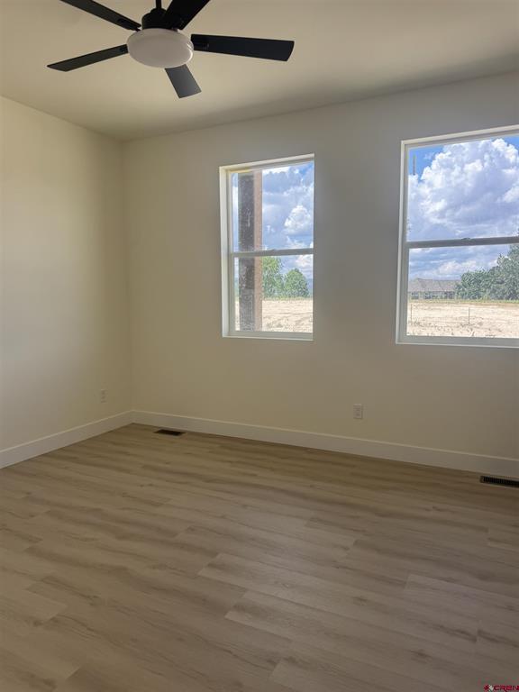 3819 Chestnut Drive Montrose CO 81401