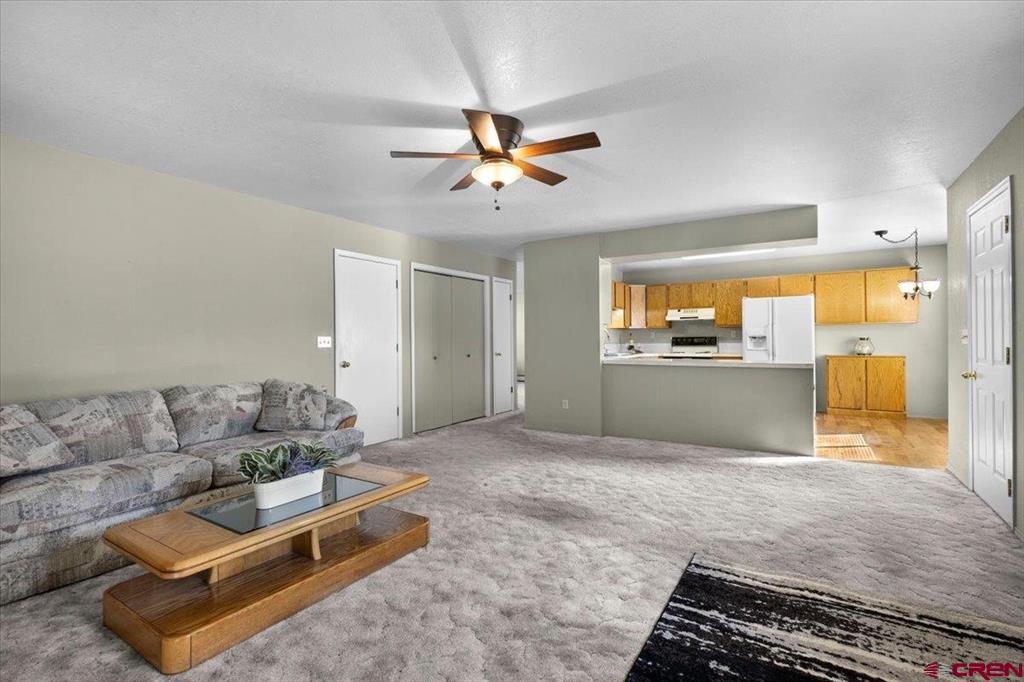 1317 Manchester Drive Montrose CO 81401