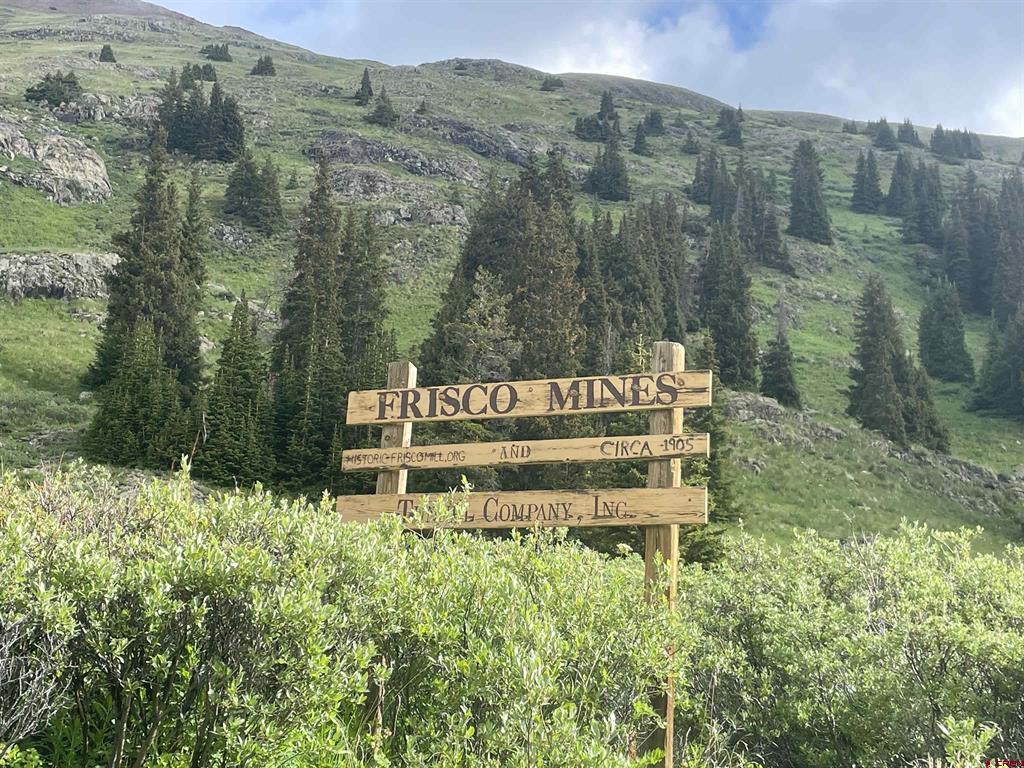 820 County Road 9 Silverton CO 81433