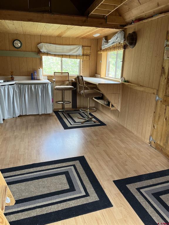 820 County Road 9 Silverton CO 81433