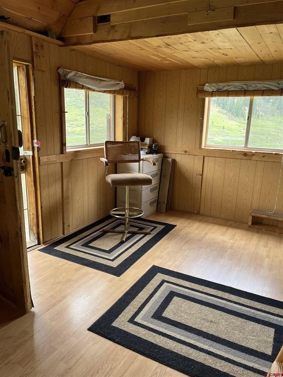 820 County Road 9 Silverton CO 81433