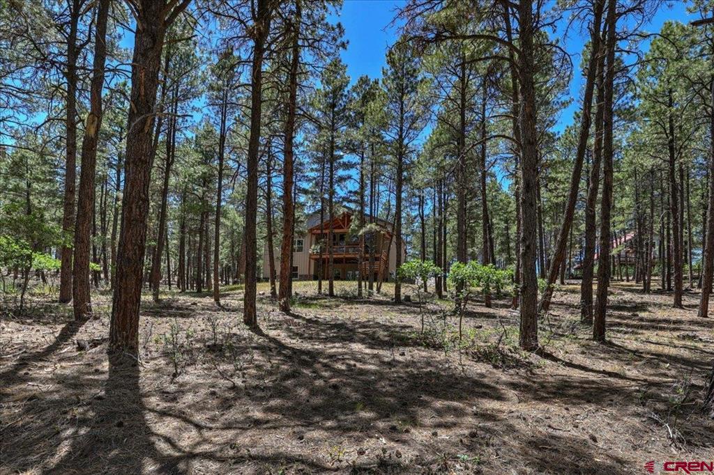 30 Moffat Court Pagosa Springs CO 81147