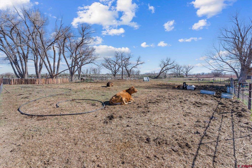 25325 Road M Cortez CO 81321