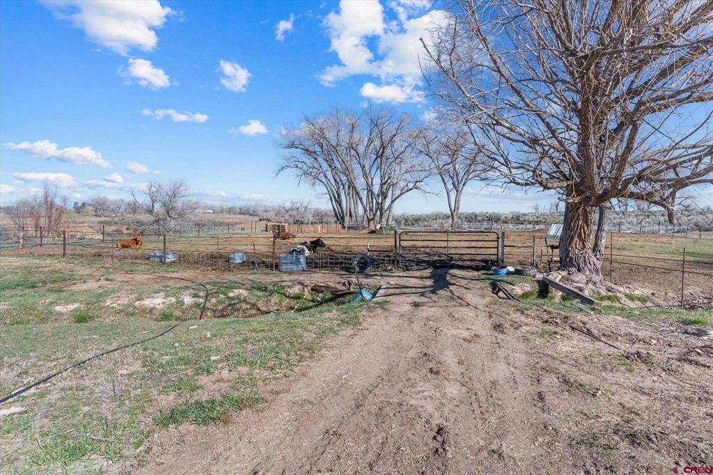 25325 Road M Cortez CO 81321