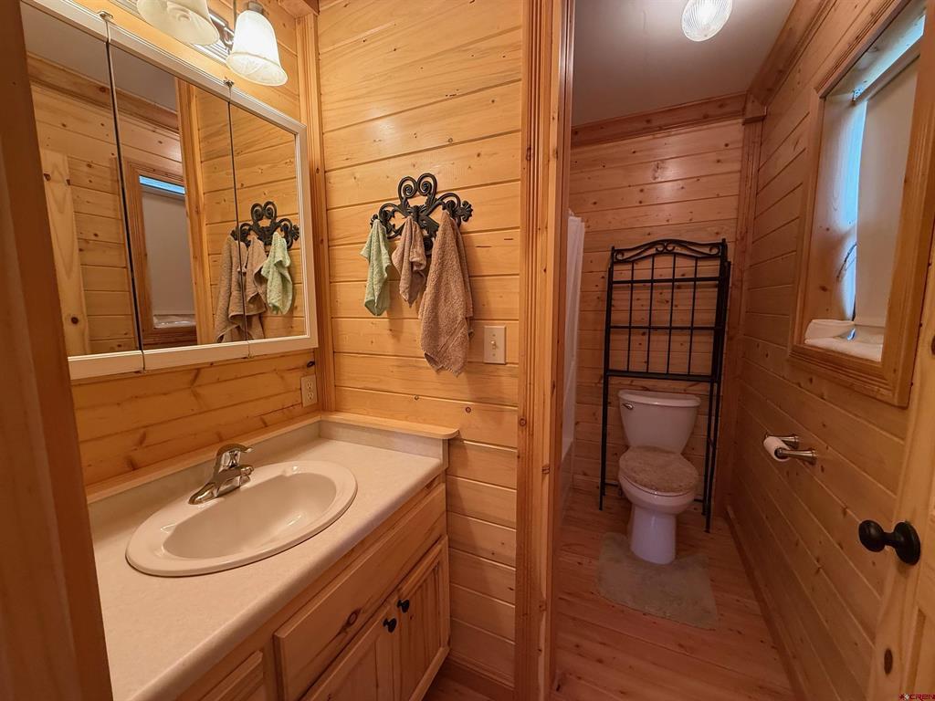 117 Antelope Road Creede CO 81130