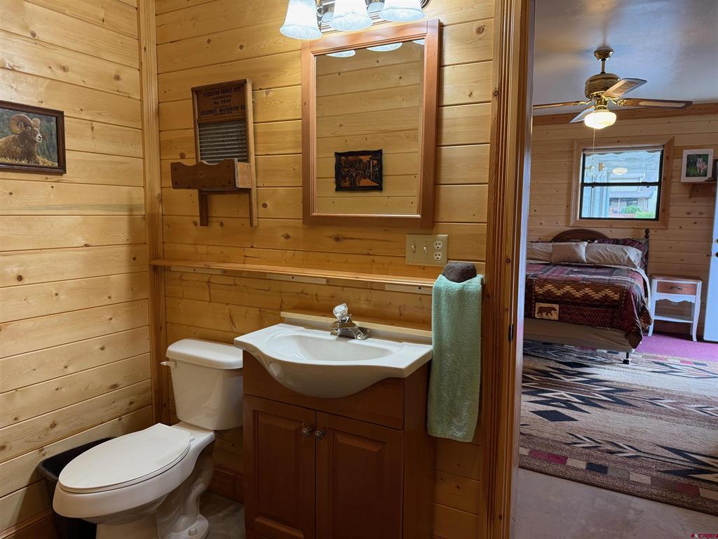 117 Antelope Road Creede CO 81130