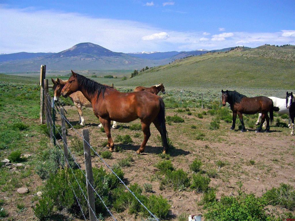 663 County Road 24 Uu Gunnison CO 81230