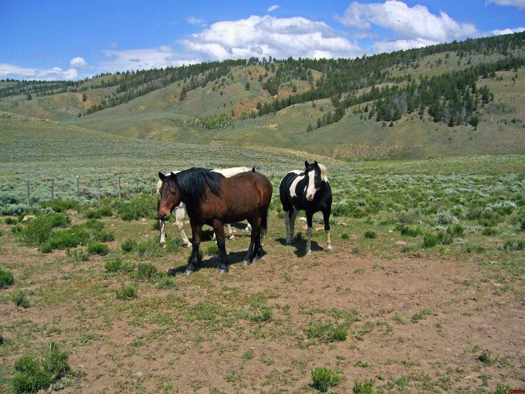 663 County Road 24 Uu Gunnison CO 81230