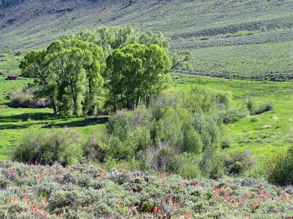 663 County Road 24 Uu Gunnison CO 81230