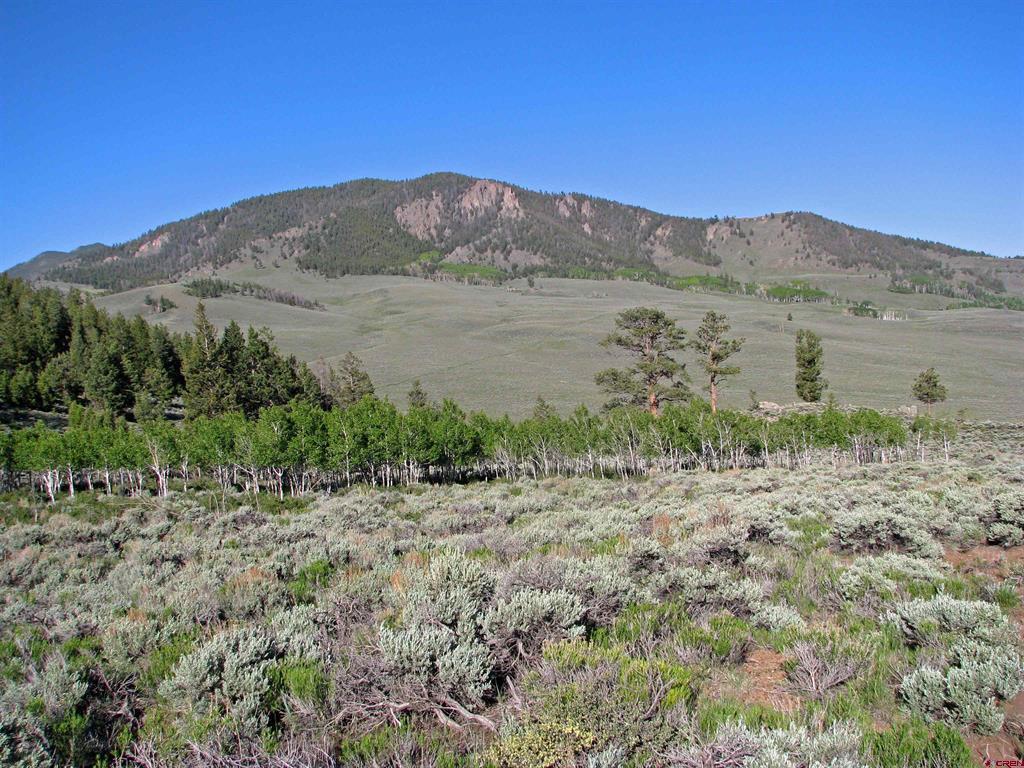 663 County Road 24 Uu Gunnison CO 81230