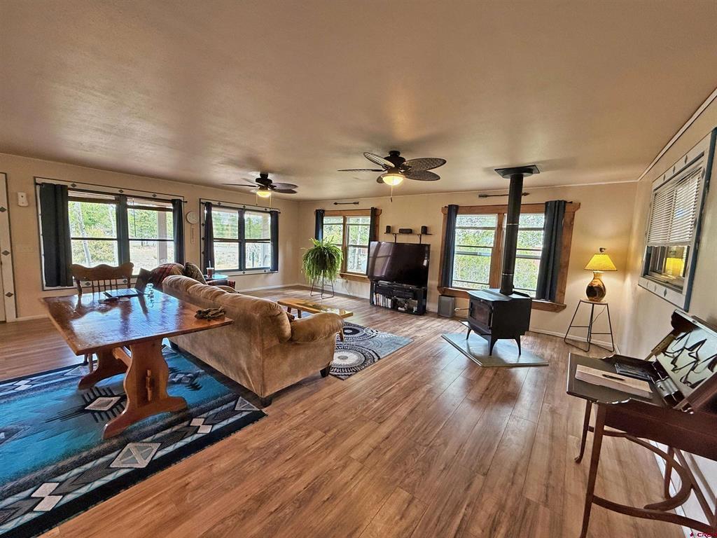 24 Pawnee Trail South Fork CO 81154