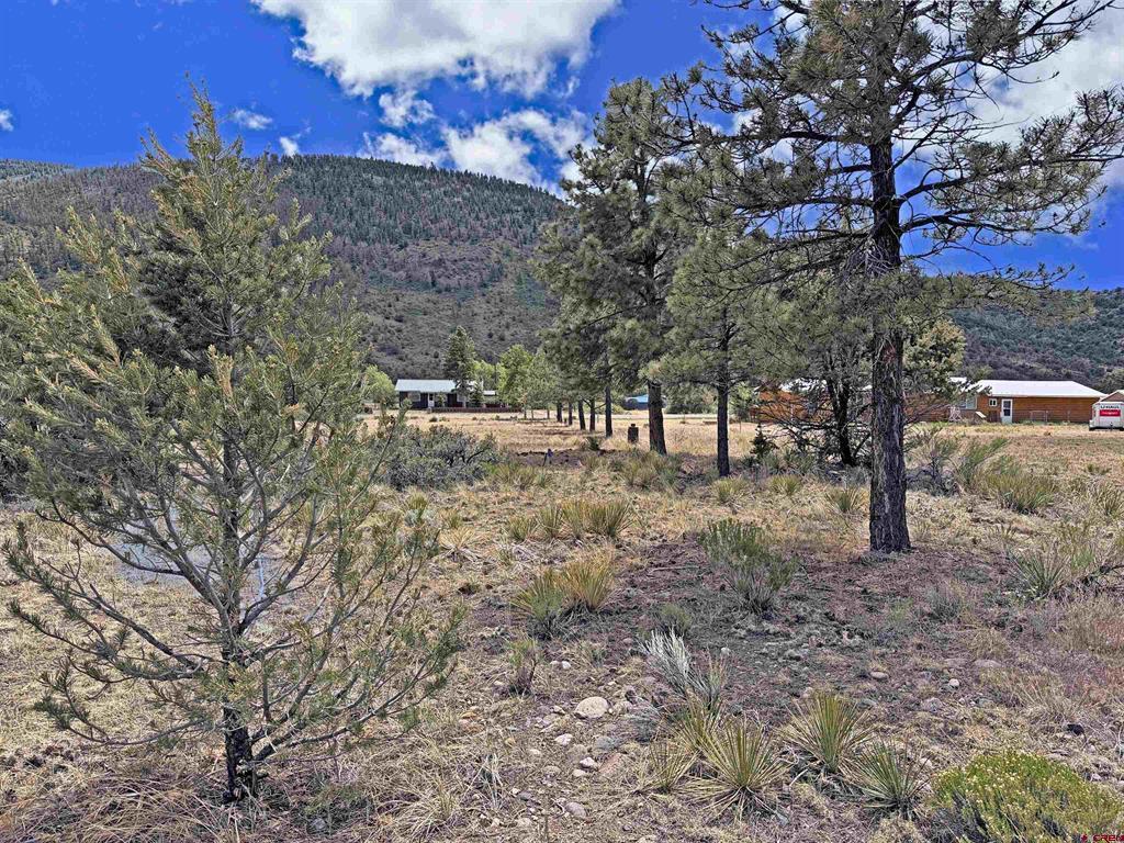 24 Pawnee Trail South Fork CO 81154