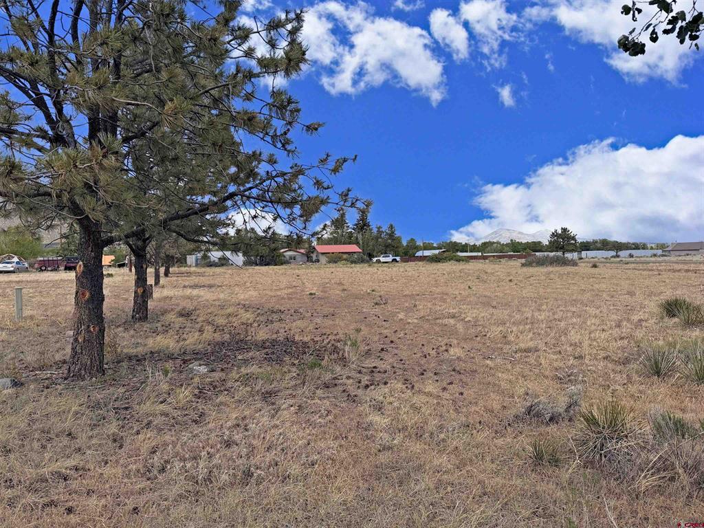 24 Pawnee Trail South Fork CO 81154