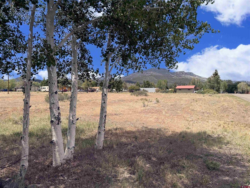 24 Pawnee Trail South Fork CO 81154