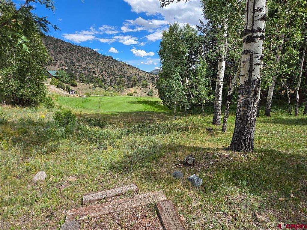 254 Timberline Trail South Fork CO 81154