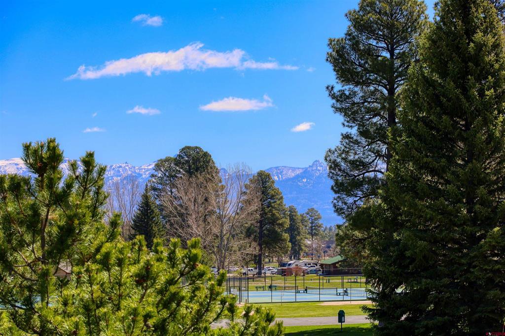 60 Davis Cup Drive Pagosa Springs CO 81147