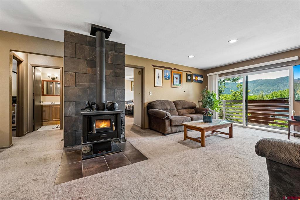 551 Animas View Drive Durango CO 81301