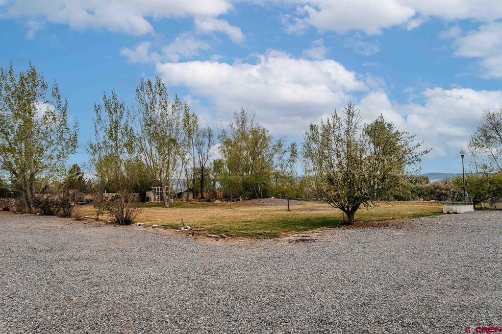 62203 Spring Creek Road Montrose CO 81403