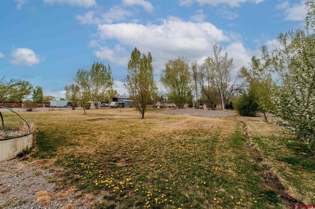 62203 Spring Creek Road Montrose CO 81403