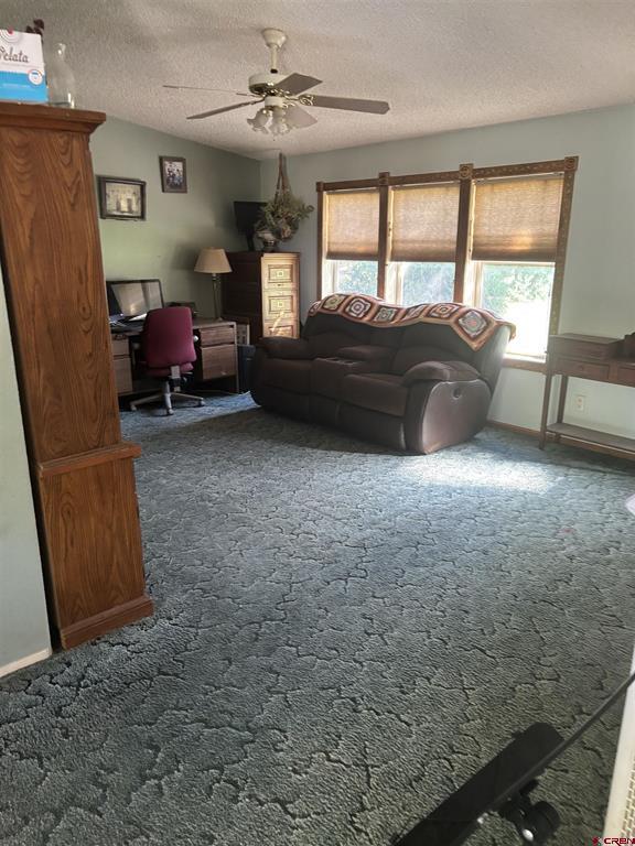 16800 Oceania Way Montrose CO 81403