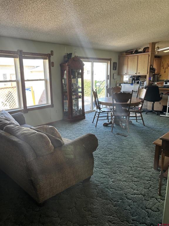 16800 Oceania Way Montrose CO 81403