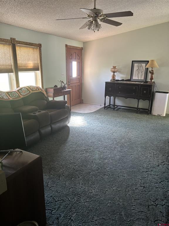 16800 Oceania Way Montrose CO 81403