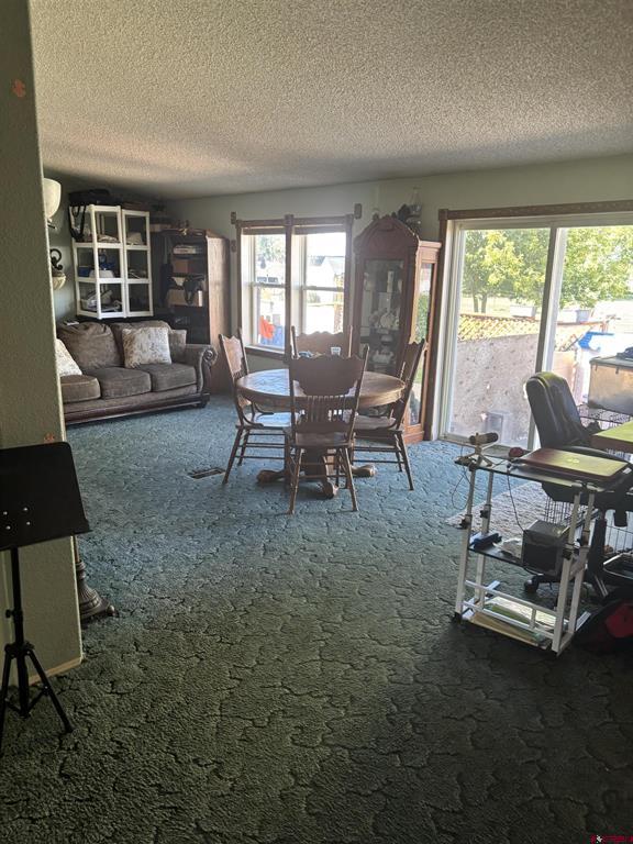 16800 Oceania Way Montrose CO 81403
