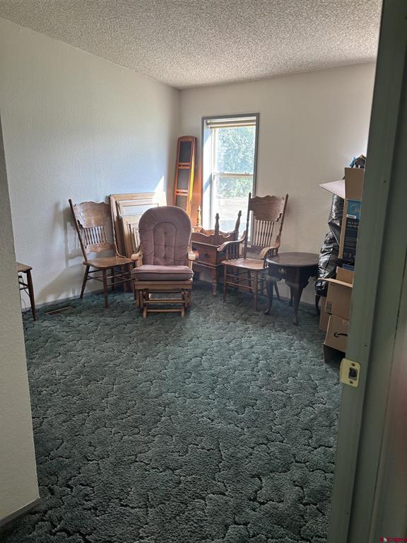 16800 Oceania Way Montrose CO 81403