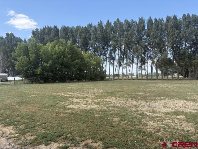 16800 Oceania Way Montrose CO 81403