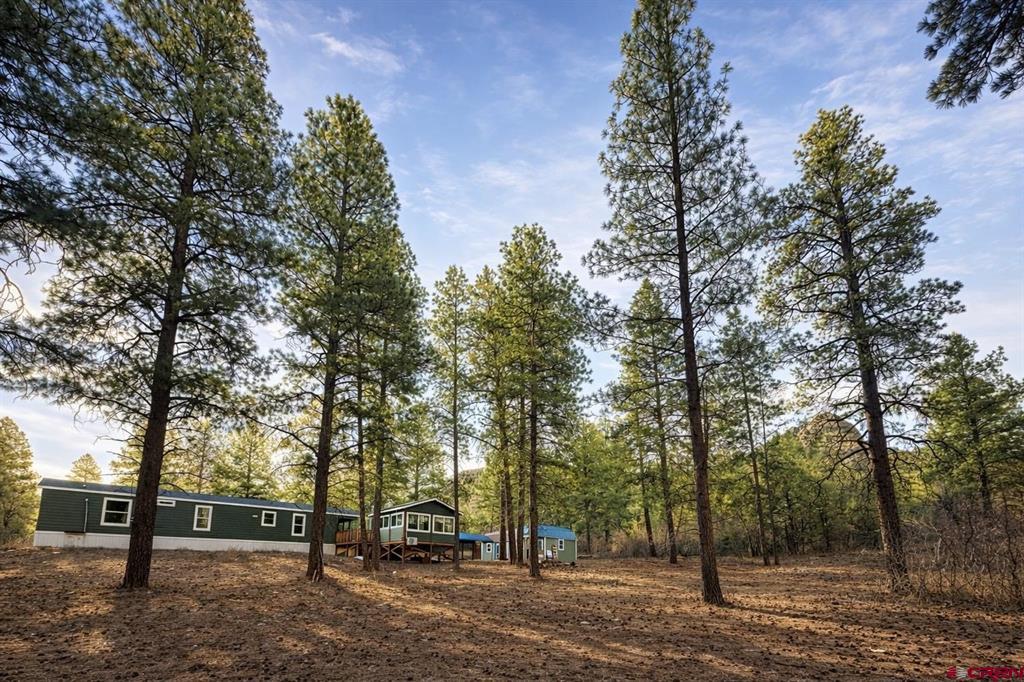 59 Cottonwood Drive Pagosa Springs CO 81147