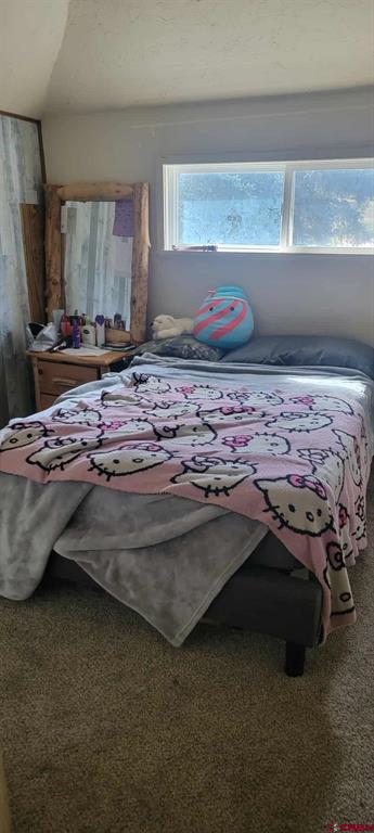 32016 Highway 550 Montrose CO 81403