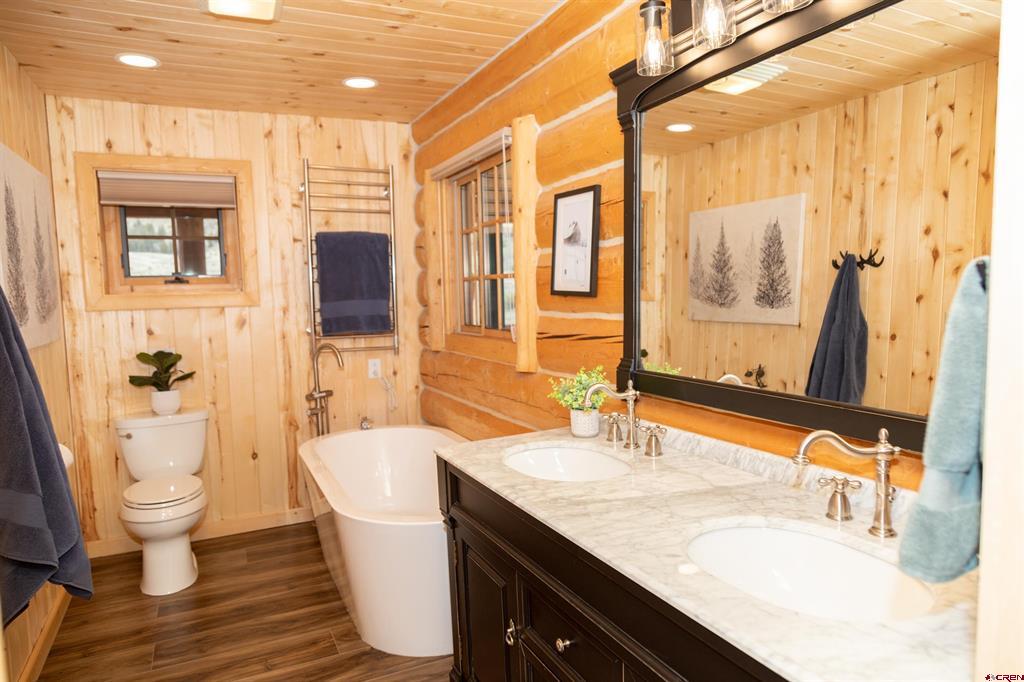 115 Dabney Court Creede CO 81130