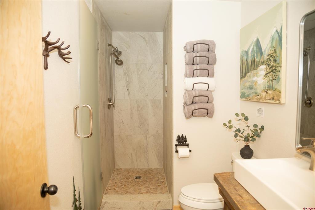 115 Dabney Court Creede CO 81130