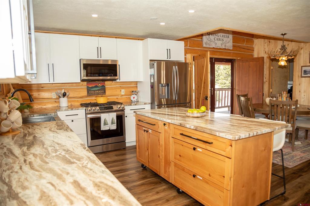 115 Dabney Court Creede CO 81130