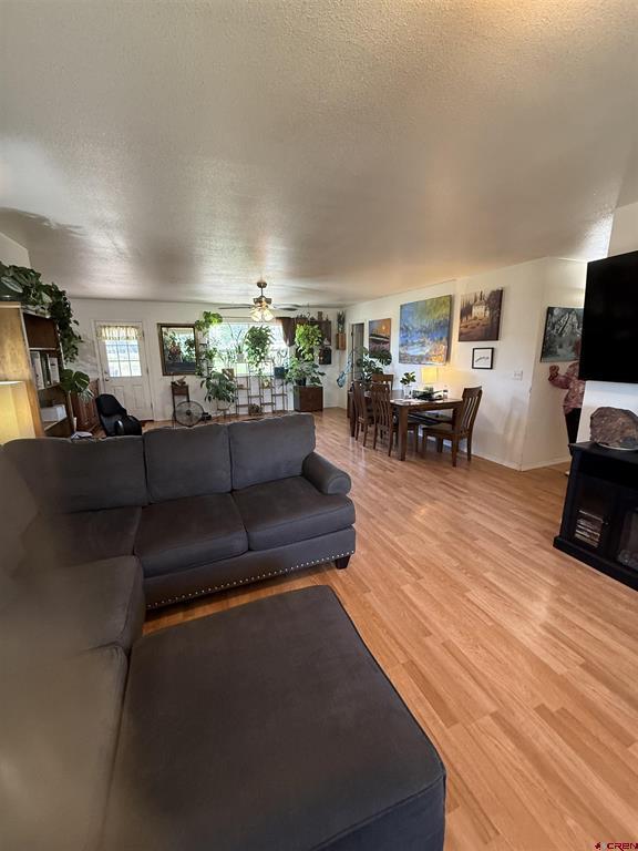 75 Settler Drive Pagosa Springs CO 81147