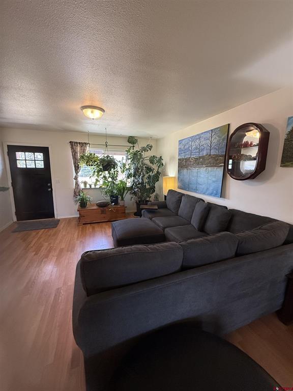 75 Settler Drive Pagosa Springs CO 81147