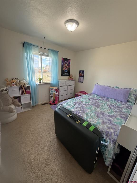 75 Settler Drive Pagosa Springs CO 81147
