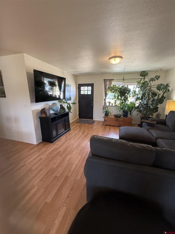 75 Settler Drive Pagosa Springs CO 81147