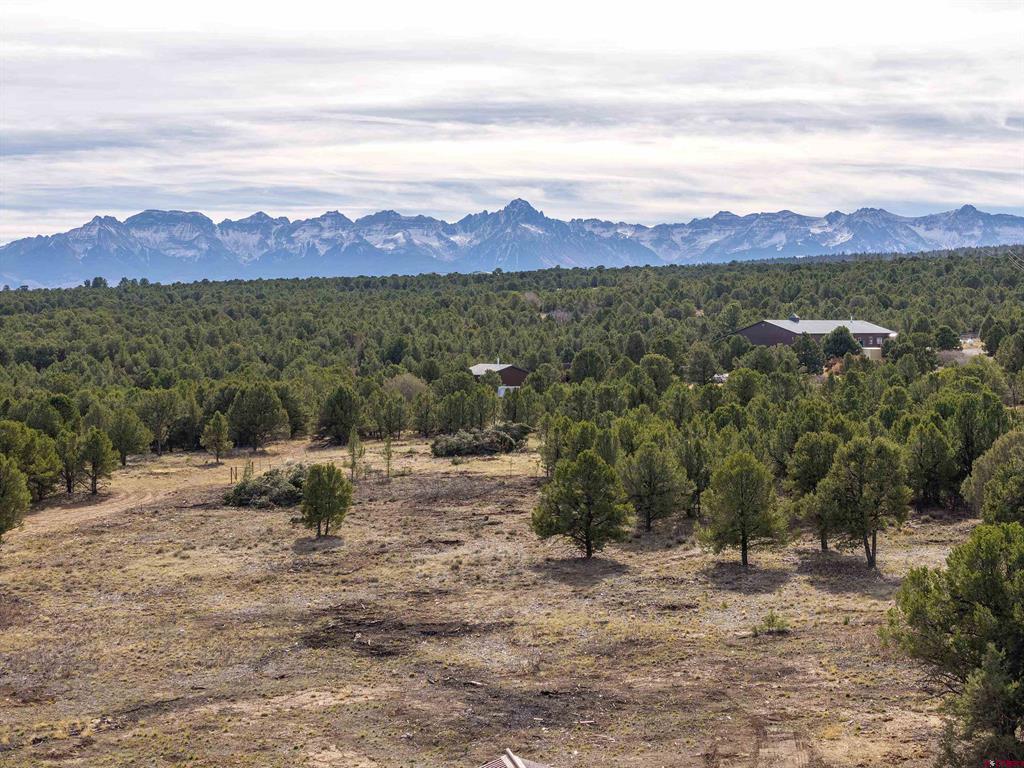 1531 Sage Road Montrose CO 81403