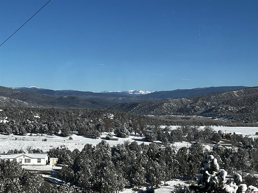 192 Pinon Hills Drive Arboles CO 81121