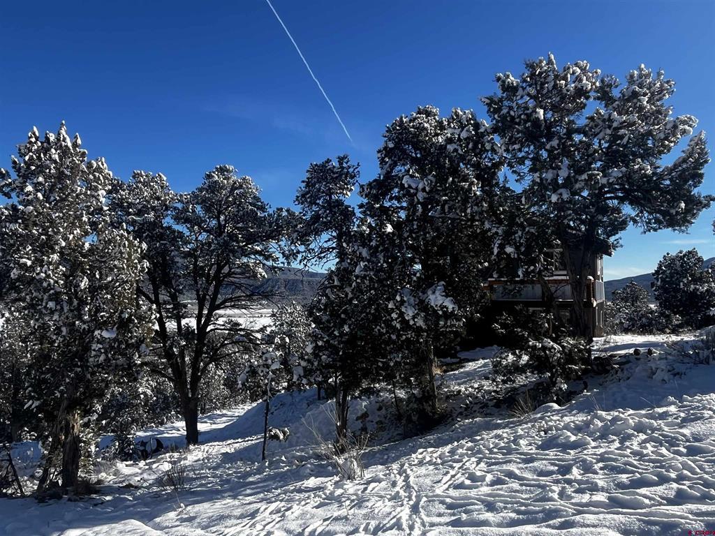192 Pinon Hills Drive Arboles CO 81121