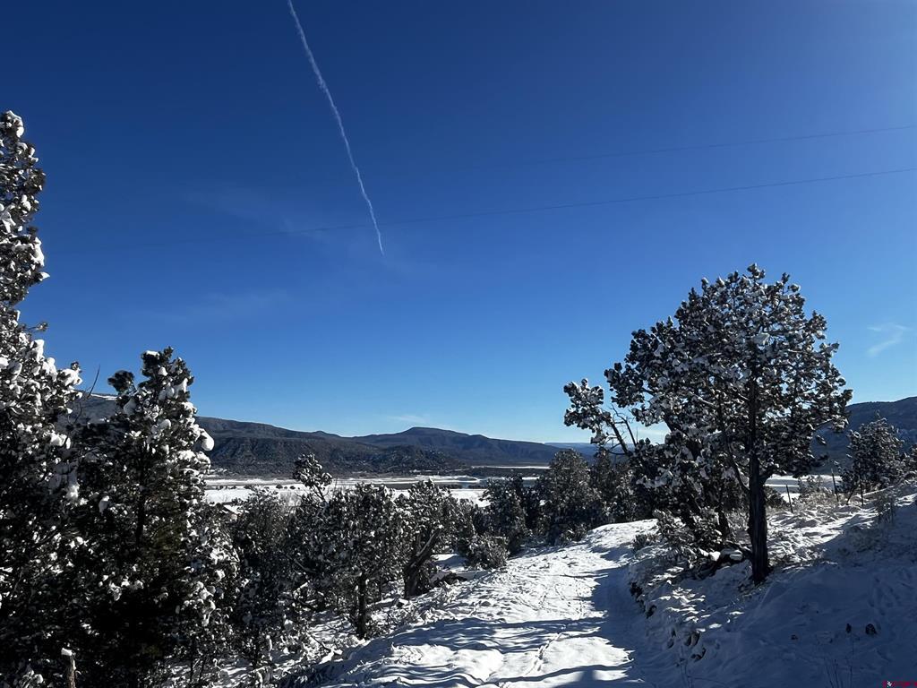 192 Pinon Hills Drive Arboles CO 81121