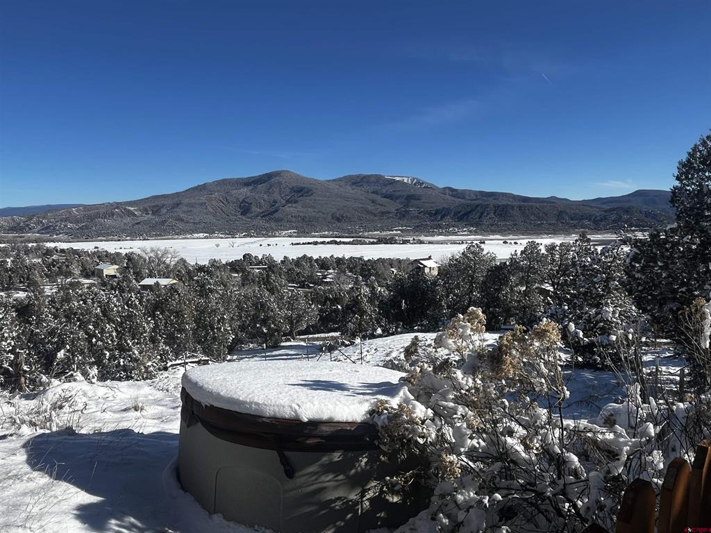192 Pinon Hills Drive Arboles CO 81121