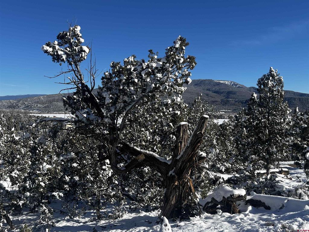 192 Pinon Hills Drive Arboles CO 81121