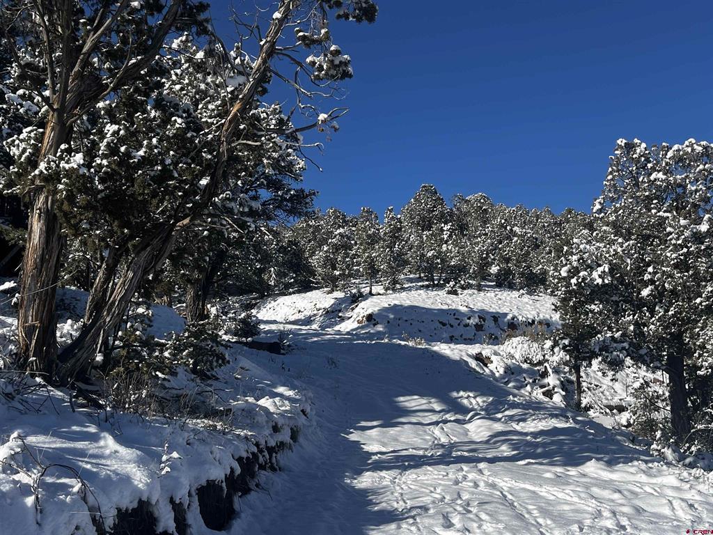 192 Pinon Hills Drive Arboles CO 81121