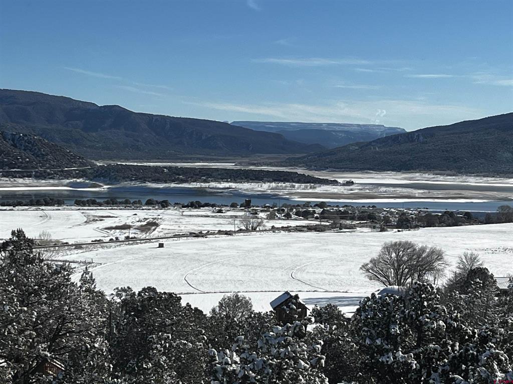 192 Pinon Hills Drive Arboles CO 81121