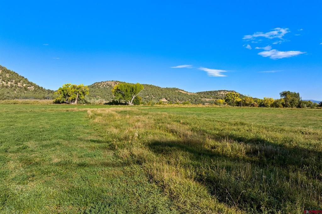 2597 County Road 213 Durango CO 81303